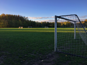 Erling Haaland goal milestone